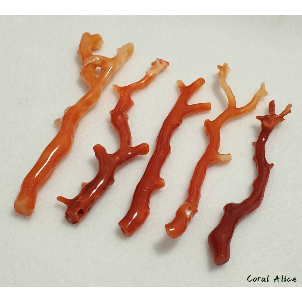 🌟Coral珊寶手作-天然阿卡珊瑚紅珊瑚自然枝(無孔)58.7-68.6mm CO2P1-159-細節圖7