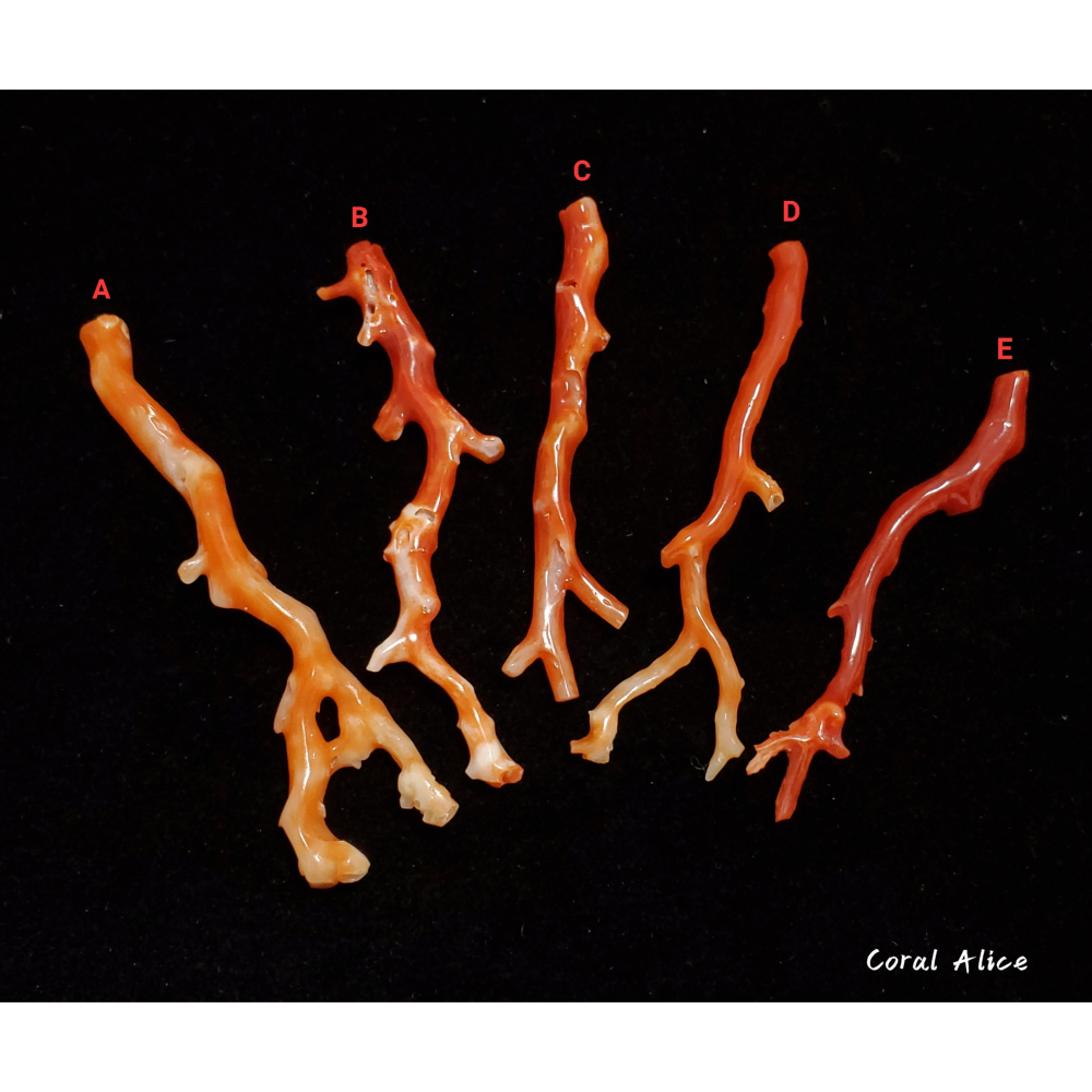 🌟Coral珊寶手作-天然阿卡珊瑚紅珊瑚自然枝(無孔)58.7-68.6mm CO2P1-159-細節圖8