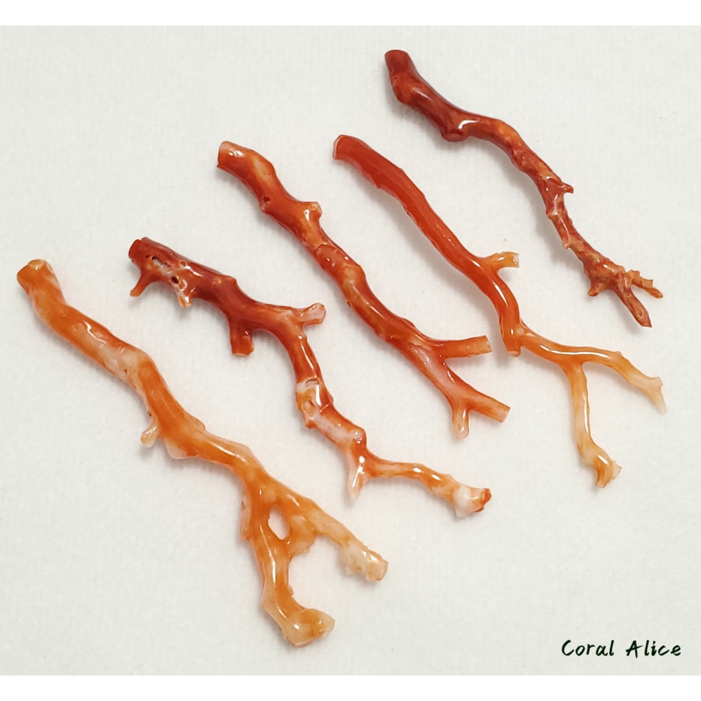🌟Coral珊寶手作-天然阿卡珊瑚紅珊瑚自然枝(無孔)58.7-68.6mm CO2P1-159-細節圖9