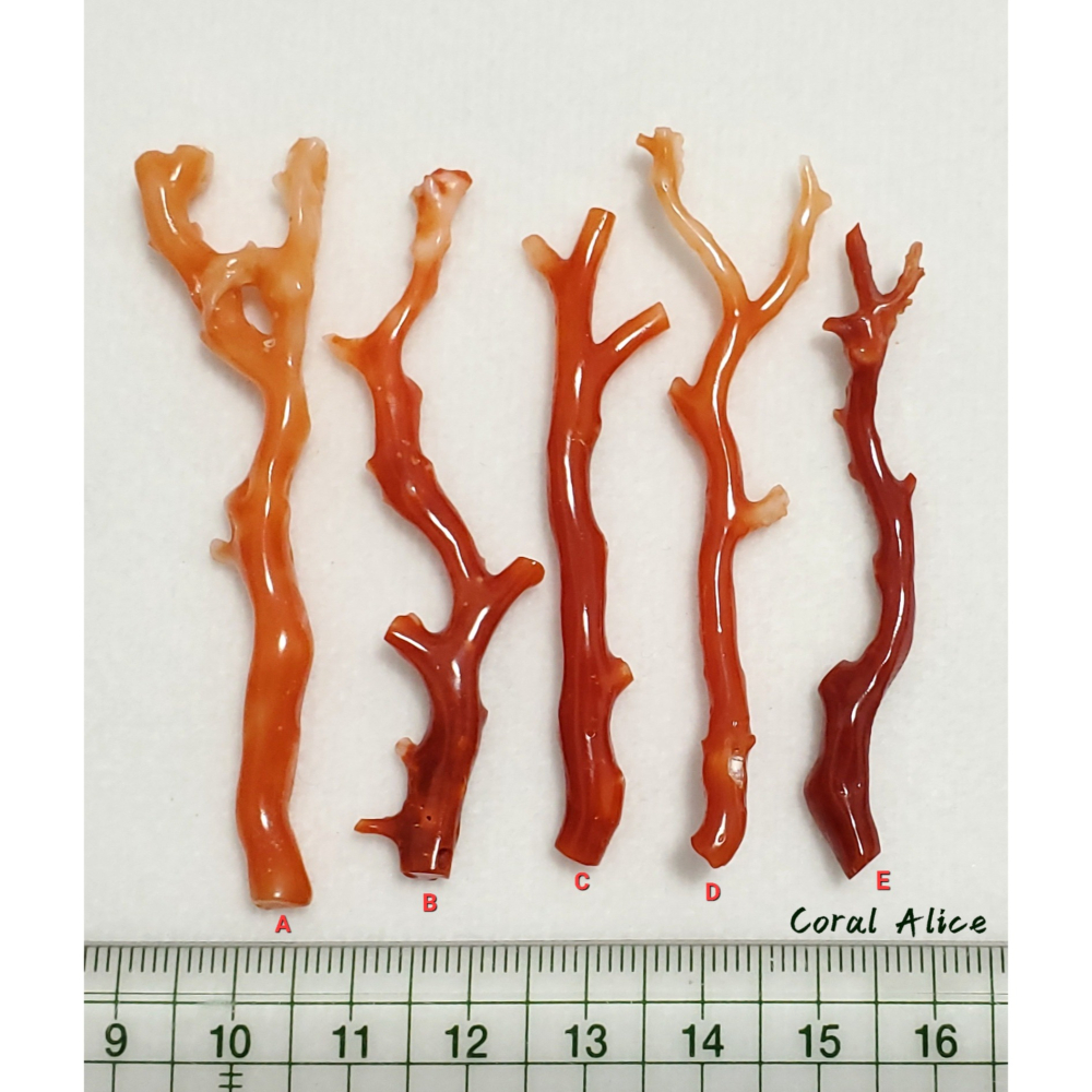 🌟Coral珊寶手作-天然阿卡珊瑚紅珊瑚自然枝(無孔)58.7-68.6mm CO2P1-159-細節圖11
