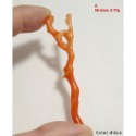 🌟Coral珊寶手作-天然阿卡珊瑚紅珊瑚自然枝(無孔)58.7-68.6mm CO2P1-159-規格圖11