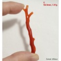 🌟Coral珊寶手作-天然阿卡珊瑚紅珊瑚自然枝(無孔)58.7-68.6mm CO2P1-159-規格圖11