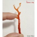 🌟Coral珊寶手作-天然阿卡珊瑚紅珊瑚自然枝(無孔)58.7-68.6mm CO2P1-159-規格圖11