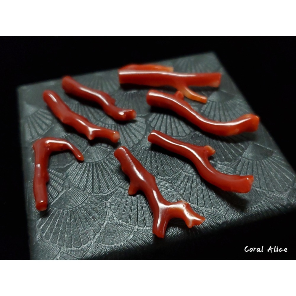 🌟Coral珊寶手作-天然阿卡珊瑚/紅珊瑚/赤血珊瑚自然枝(無孔) CO2P1-707-細節圖3