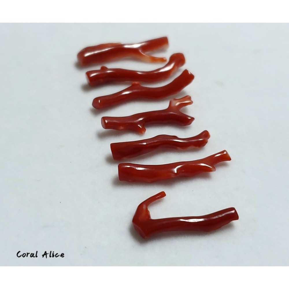 🌟Coral珊寶手作-天然阿卡珊瑚/紅珊瑚/赤血珊瑚自然枝(無孔) CO2P1-707-細節圖8