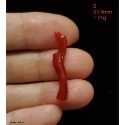 🌟Coral珊寶手作-天然阿卡珊瑚/紅珊瑚/赤血珊瑚自然枝(無孔) CO2P1-707-規格圖11