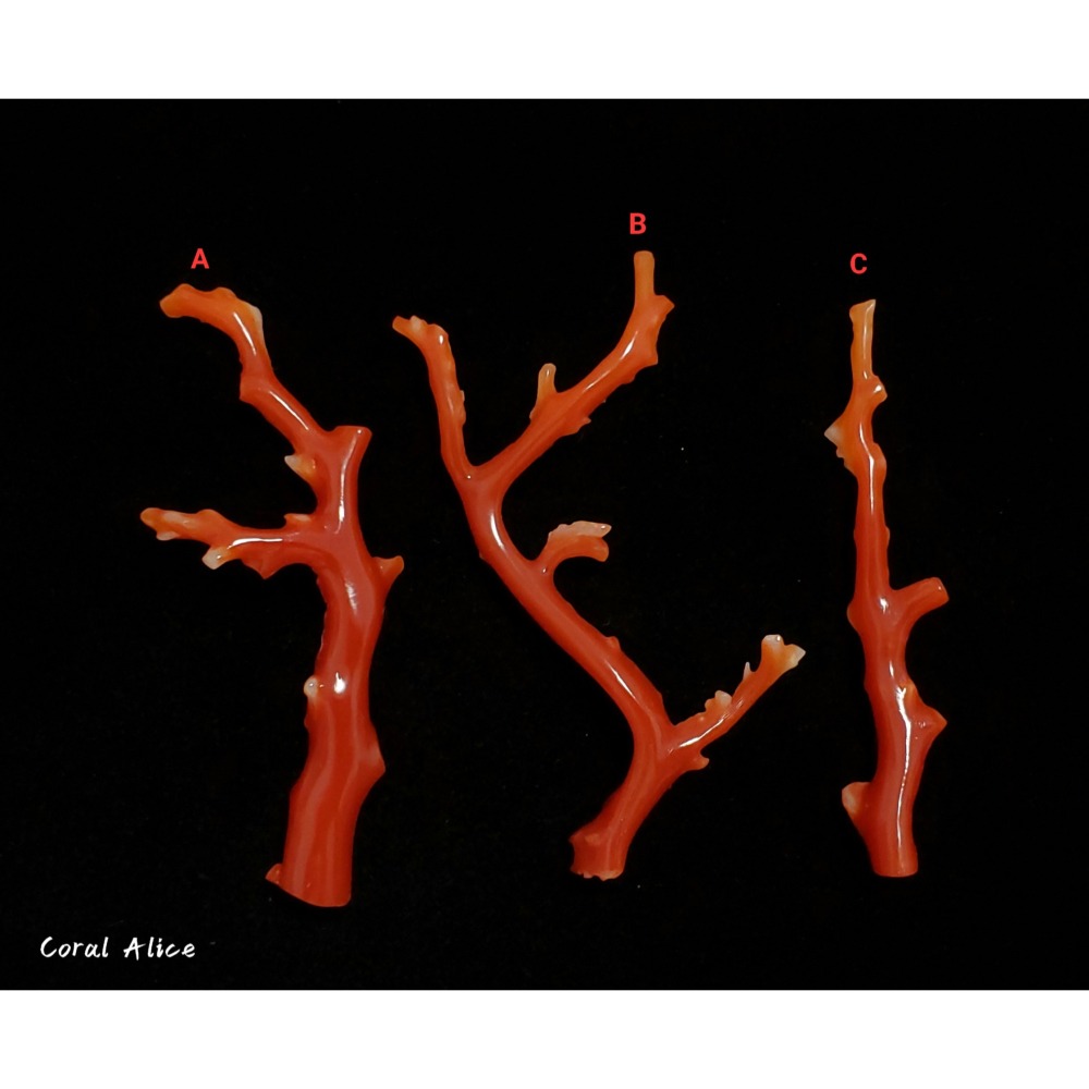 🌟Coral珊寶手作-天然阿卡珊瑚自然枝(已拋光) CO2P1-154-細節圖2