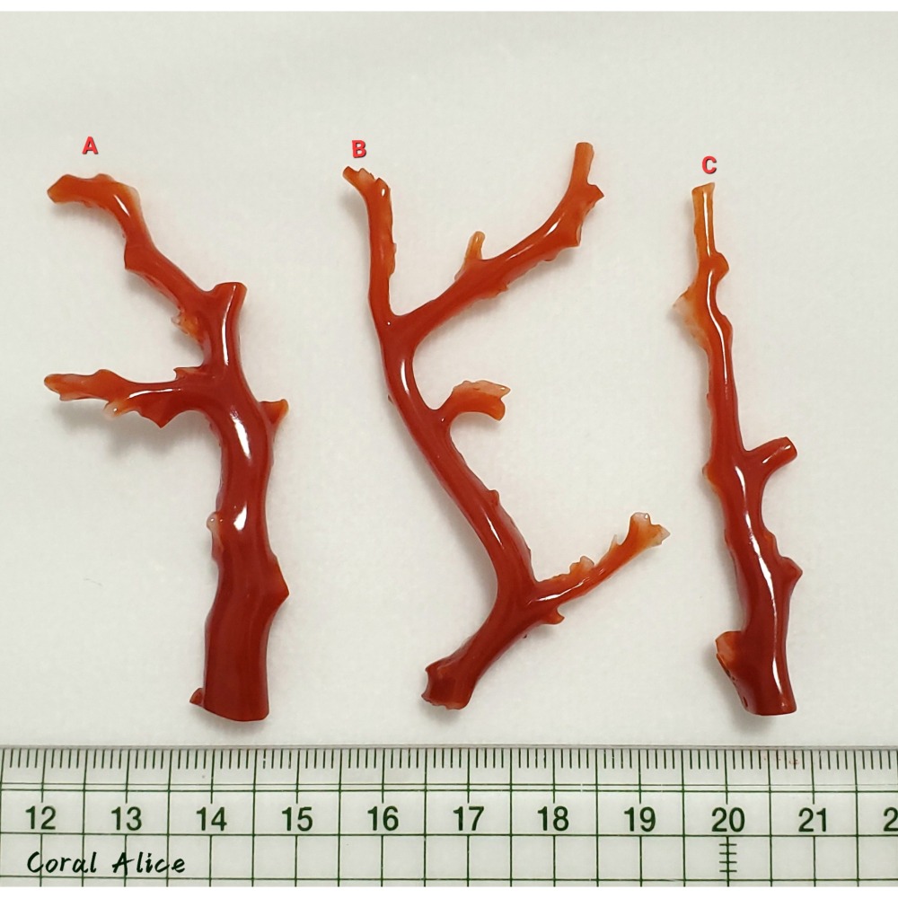 🌟Coral珊寶手作-天然阿卡珊瑚自然枝(已拋光) CO2P1-154-細節圖11