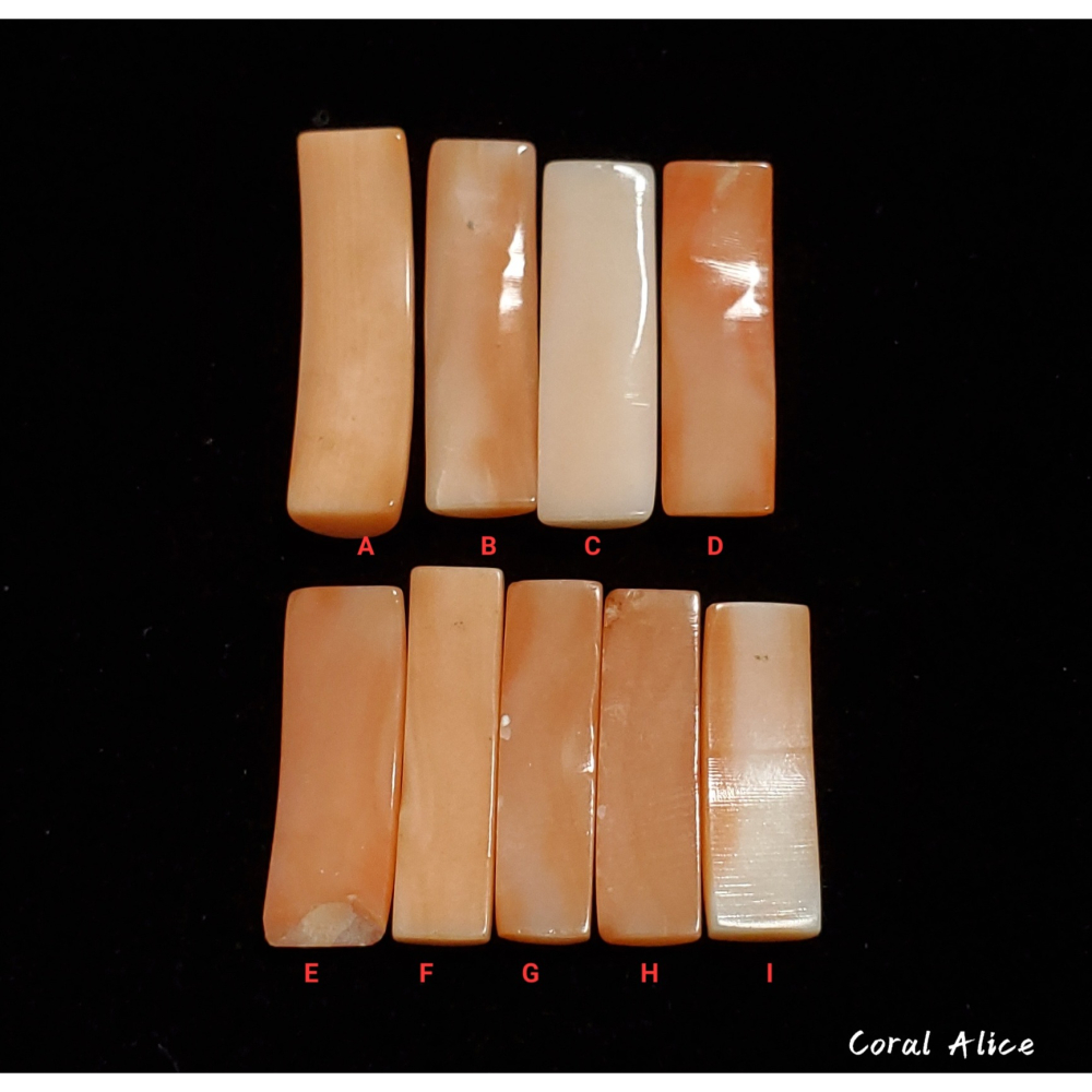 🌟Coral珊寶手作-天然深水珊瑚馬鞍造型裸石 CO2P1-146-細節圖4