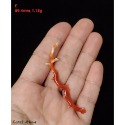 🌟Coral珊寶手作-天然阿卡珊瑚自然枝 37.7-81.3mm CO2P1-009-規格圖10
