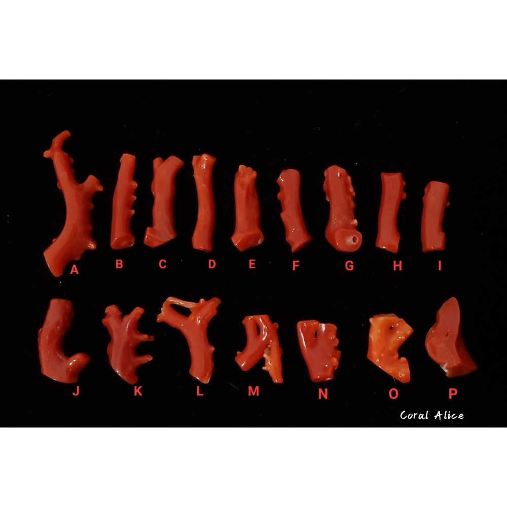 🌟Coral珊寶手作-天然阿卡紅珊瑚/赤血珊瑚自然小枝 #供佛 #鑲嵌 #金工 #珠寶設計 CO2P1-930-細節圖2