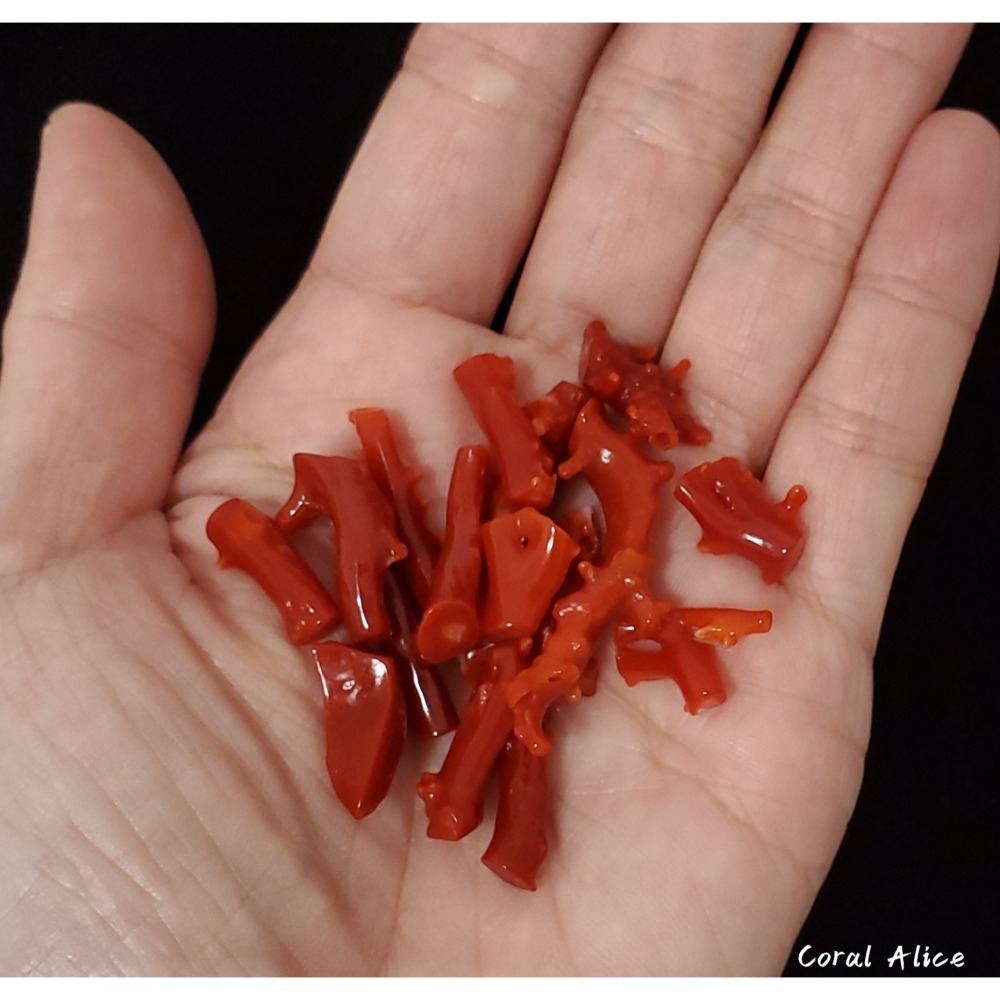 🌟Coral珊寶手作-天然阿卡紅珊瑚/赤血珊瑚自然小枝 #供佛 #鑲嵌 #金工 #珠寶設計 CO2P1-930-細節圖8
