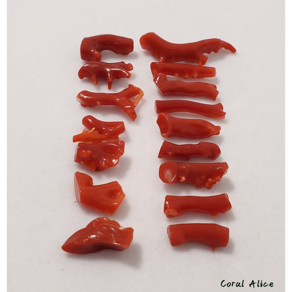 🌟Coral珊寶手作-天然阿卡紅珊瑚/赤血珊瑚自然小枝 #供佛 #鑲嵌 #金工 #珠寶設計 CO2P1-930-細節圖9