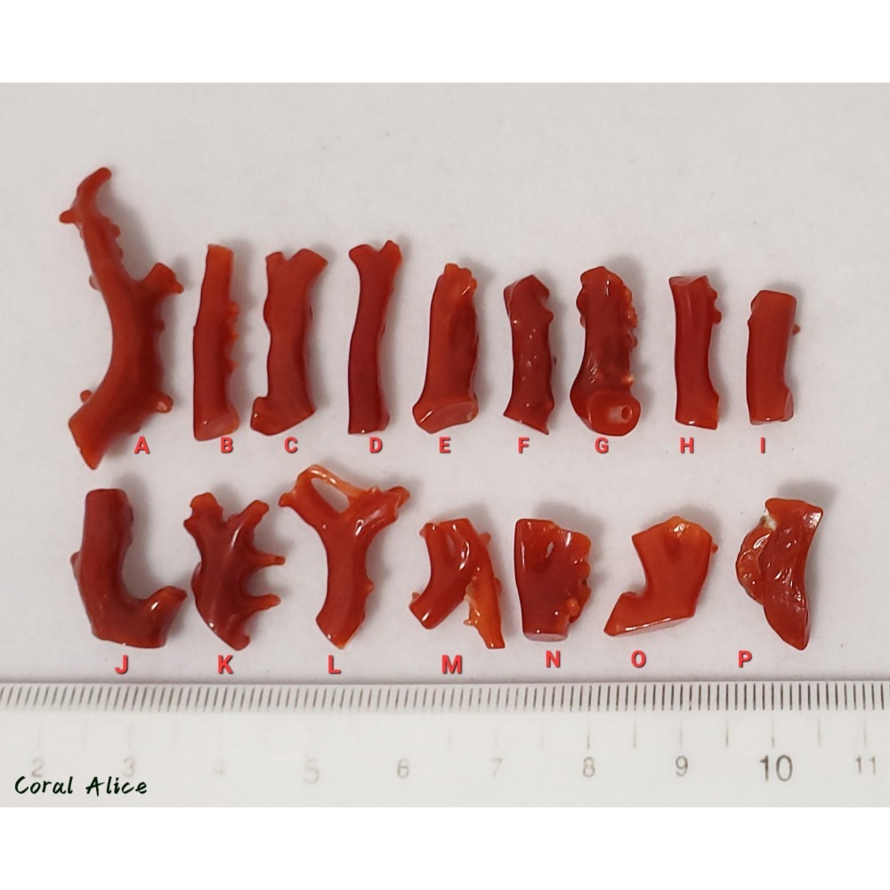 🌟Coral珊寶手作-天然阿卡紅珊瑚/赤血珊瑚自然小枝 #供佛 #鑲嵌 #金工 #珠寶設計 CO2P1-930-細節圖11