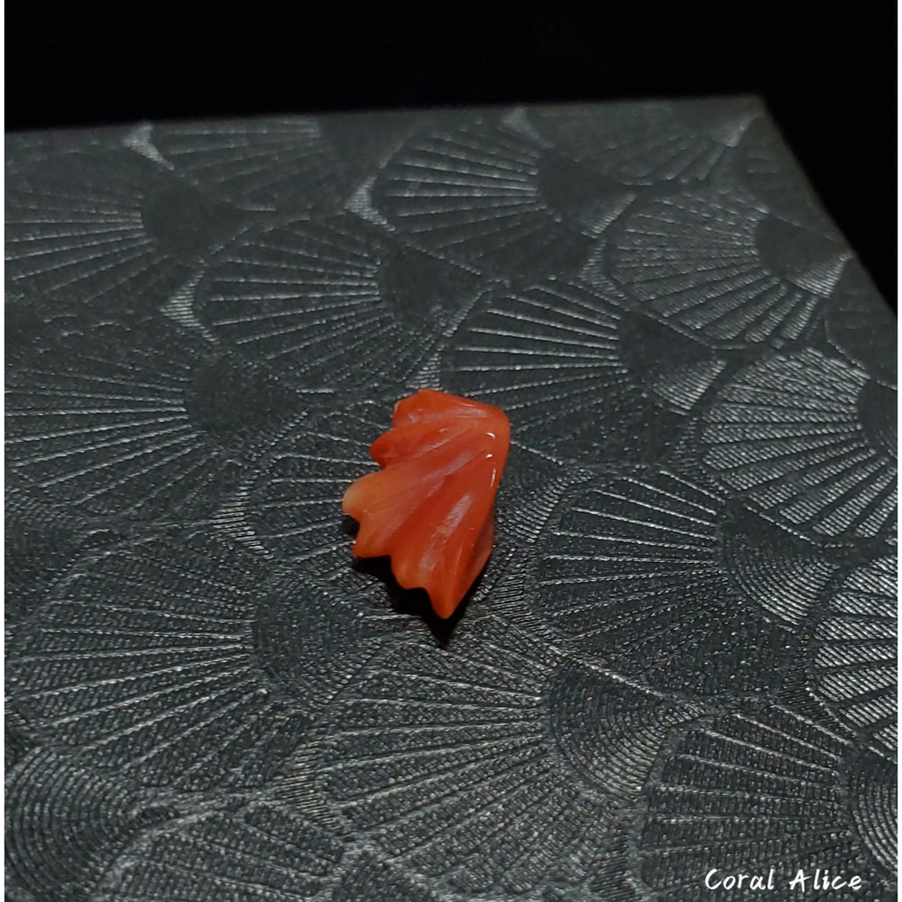 🌟Coral珊寶手作-天然阿卡珊瑚造型裸石 14.2*8.4*5.6mm CO2P1-142-細節圖2