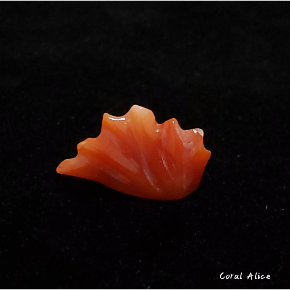 🌟Coral珊寶手作-天然阿卡珊瑚造型裸石 14.2*8.4*5.6mm CO2P1-142-細節圖3