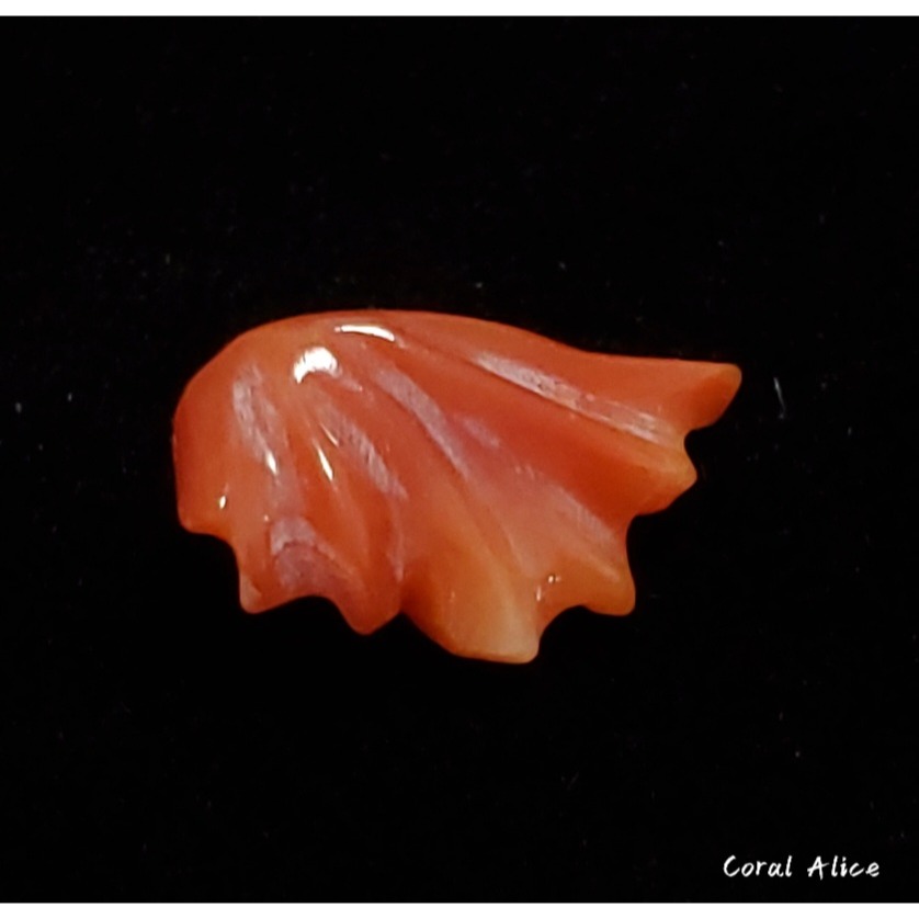 🌟Coral珊寶手作-天然阿卡珊瑚造型裸石 14.2*8.4*5.6mm CO2P1-142-細節圖4