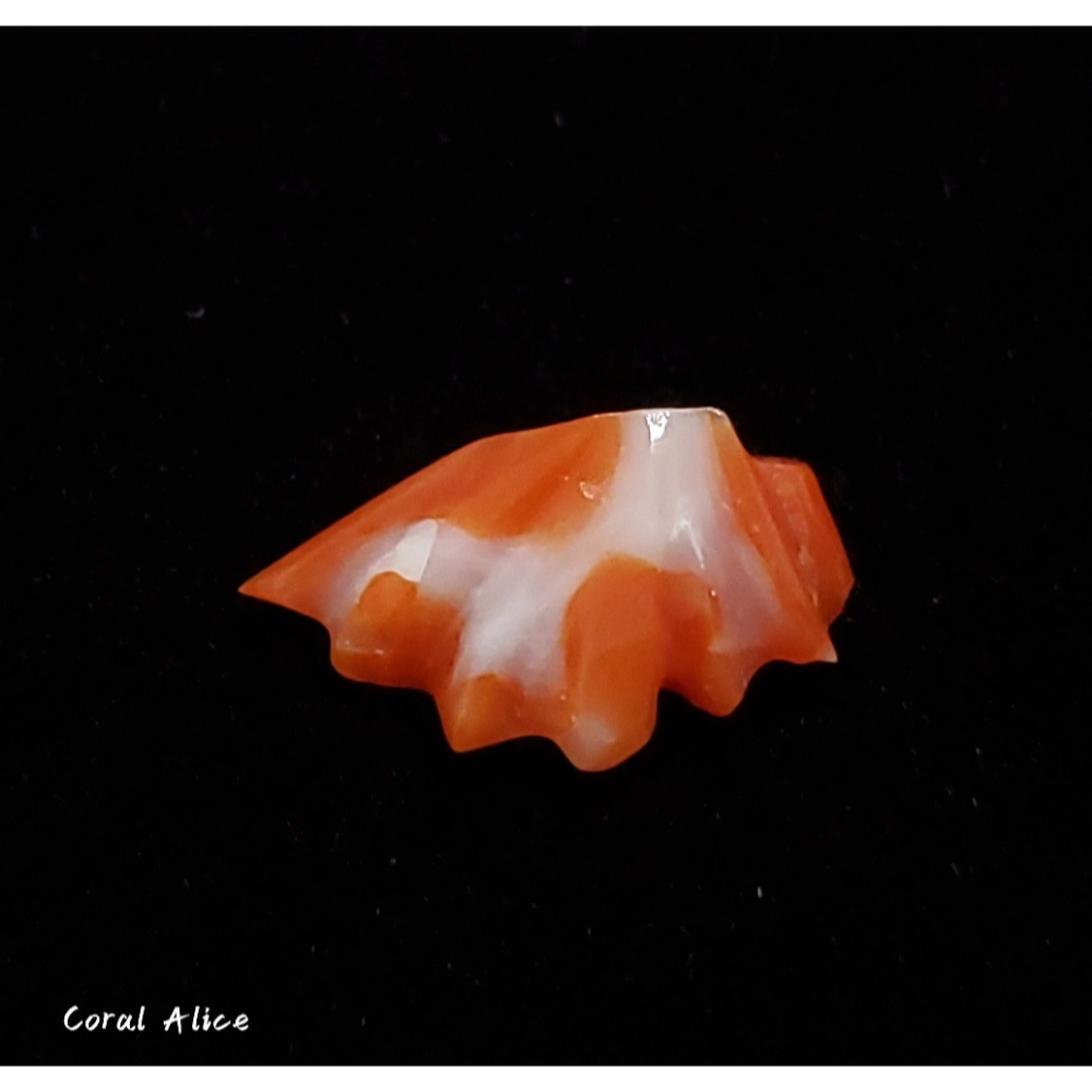 🌟Coral珊寶手作-天然阿卡珊瑚造型裸石 14.2*8.4*5.6mm CO2P1-142-細節圖5