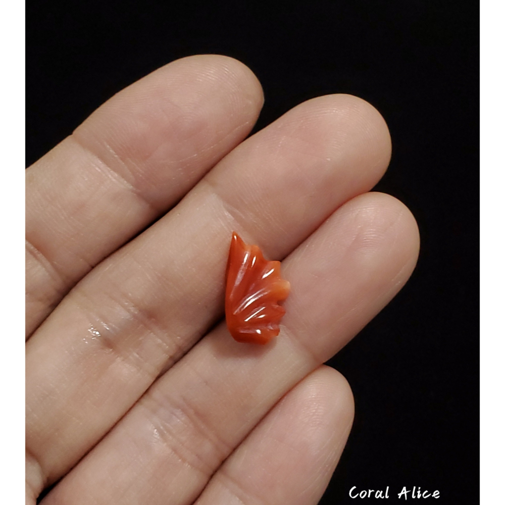 🌟Coral珊寶手作-天然阿卡珊瑚造型裸石 14.2*8.4*5.6mm CO2P1-142-細節圖7