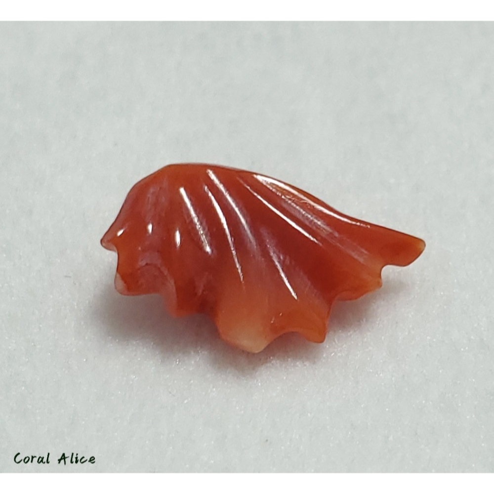 🌟Coral珊寶手作-天然阿卡珊瑚造型裸石 14.2*8.4*5.6mm CO2P1-142-細節圖8