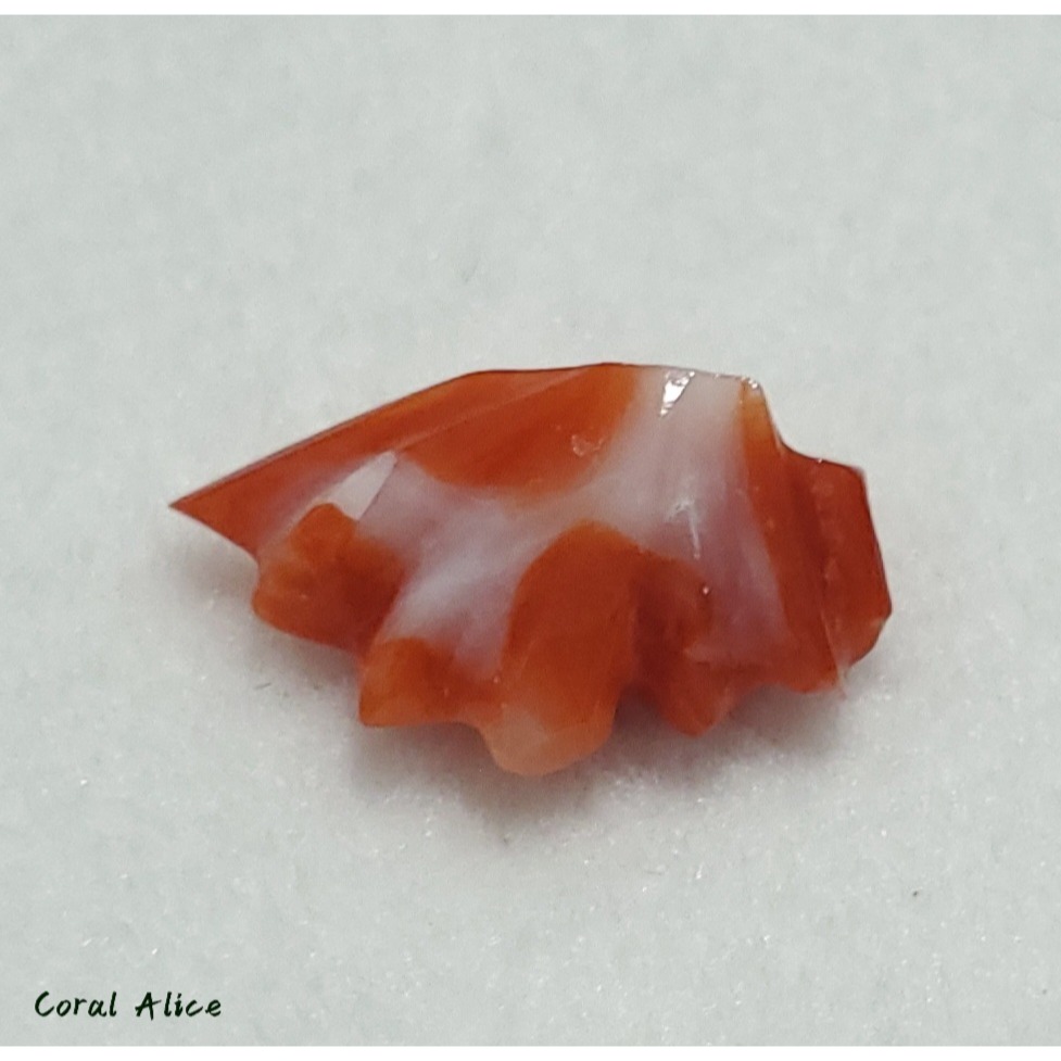 🌟Coral珊寶手作-天然阿卡珊瑚造型裸石 14.2*8.4*5.6mm CO2P1-142-細節圖9