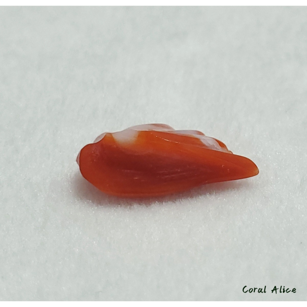 🌟Coral珊寶手作-天然阿卡珊瑚造型裸石 14.2*8.4*5.6mm CO2P1-142-細節圖10