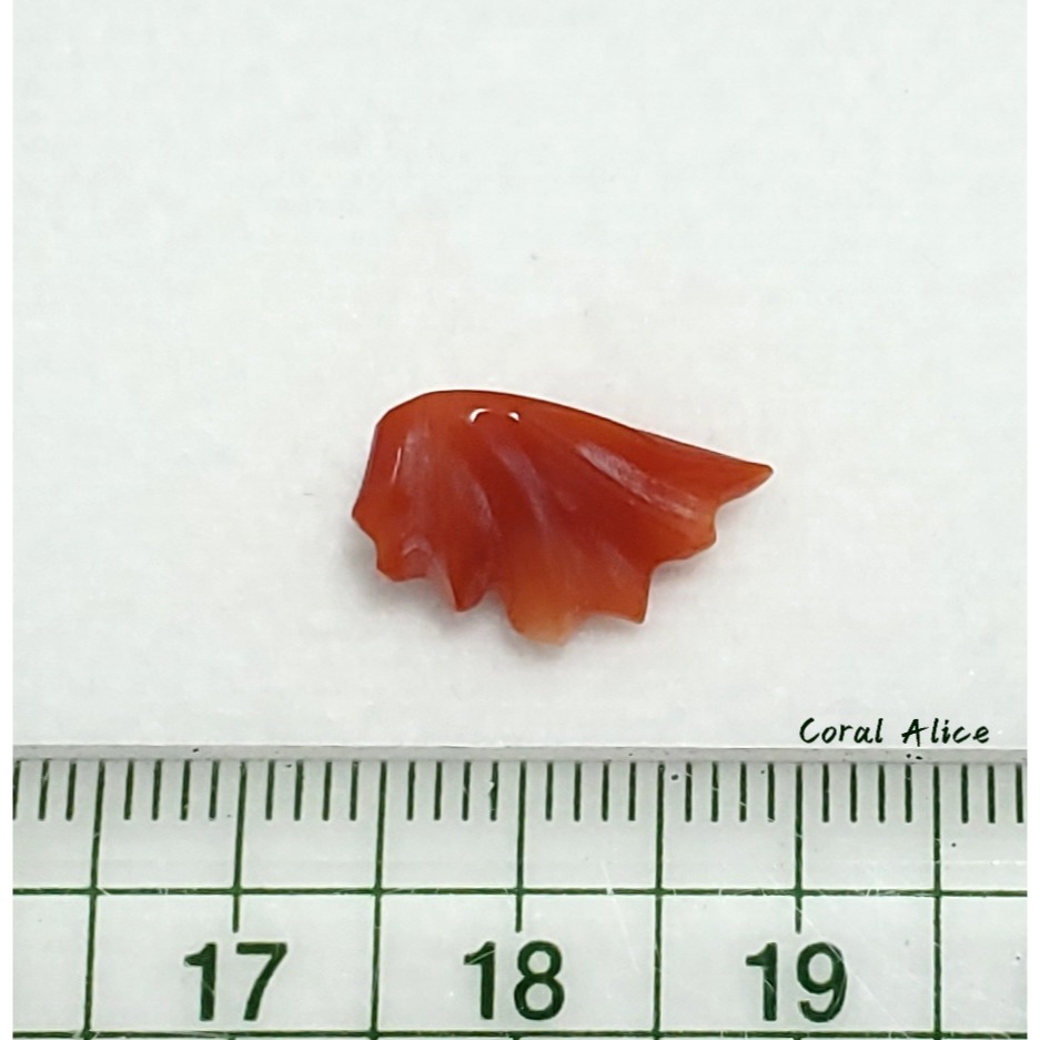 🌟Coral珊寶手作-天然阿卡珊瑚造型裸石 14.2*8.4*5.6mm CO2P1-142-細節圖11