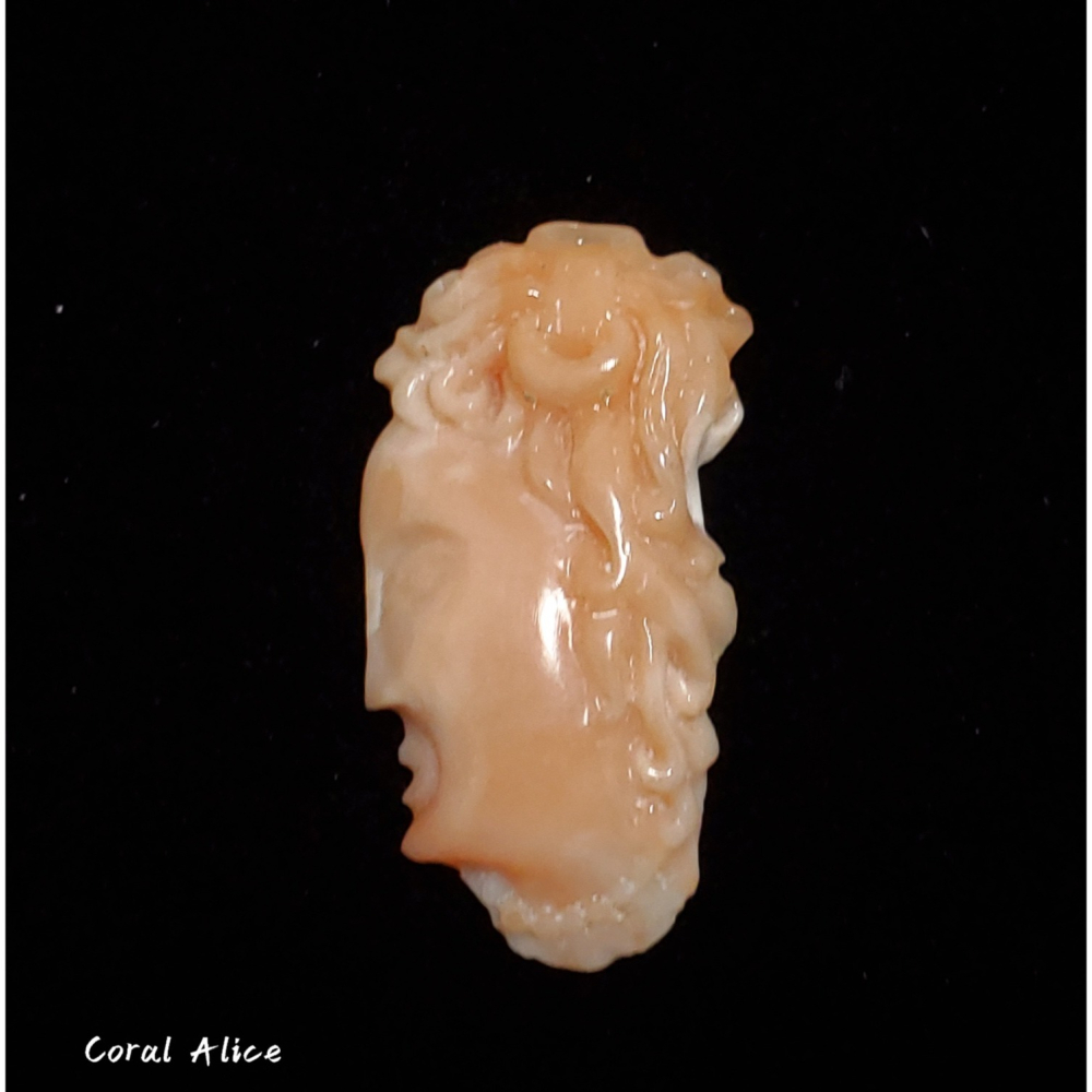 🌟Coral珊寶手作-天然深水珊瑚手工雕刻件(無孔) 30.1*15.1*4.3mm CO2P1-139-細節圖2