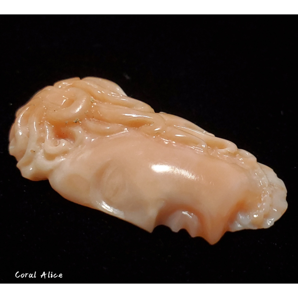 🌟Coral珊寶手作-天然深水珊瑚手工雕刻件(無孔) 30.1*15.1*4.3mm CO2P1-139-細節圖3