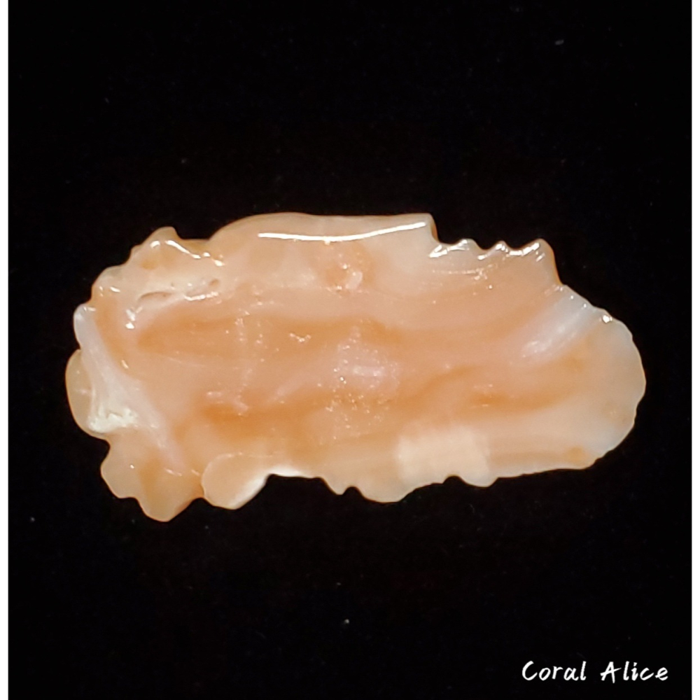 🌟Coral珊寶手作-天然深水珊瑚手工雕刻件(無孔) 30.1*15.1*4.3mm CO2P1-139-細節圖4