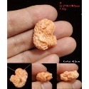 🌟Coral珊寶手作-天然momo珊瑚/深水珊瑚/淺水珊瑚手工雕刻件(吊墜孔) CO2P1-129-規格圖10