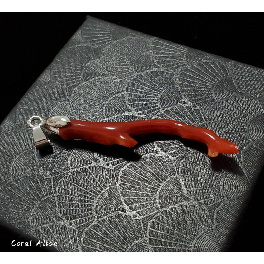 🌟Coral珊寶手作-天然阿卡珊瑚自然枝項墜 48.7mm CO2P1-135-細節圖2