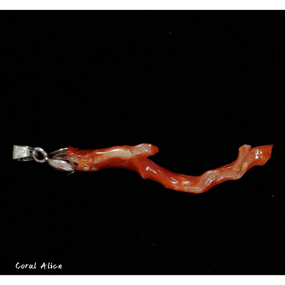 🌟Coral珊寶手作-天然阿卡珊瑚自然枝項墜 48.7mm CO2P1-135-細節圖4
