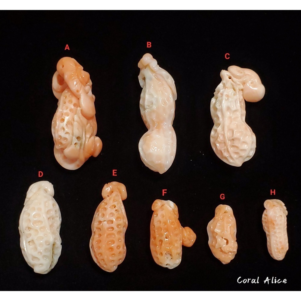 🌟Coral珊寶手作-天然深水珊瑚/白珊瑚手工雕刻(吊墜孔) CO2P1-126-細節圖3