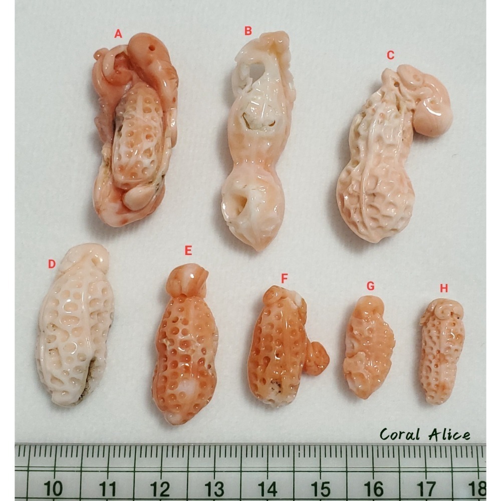 🌟Coral珊寶手作-天然深水珊瑚/白珊瑚手工雕刻(吊墜孔) CO2P1-126-細節圖10