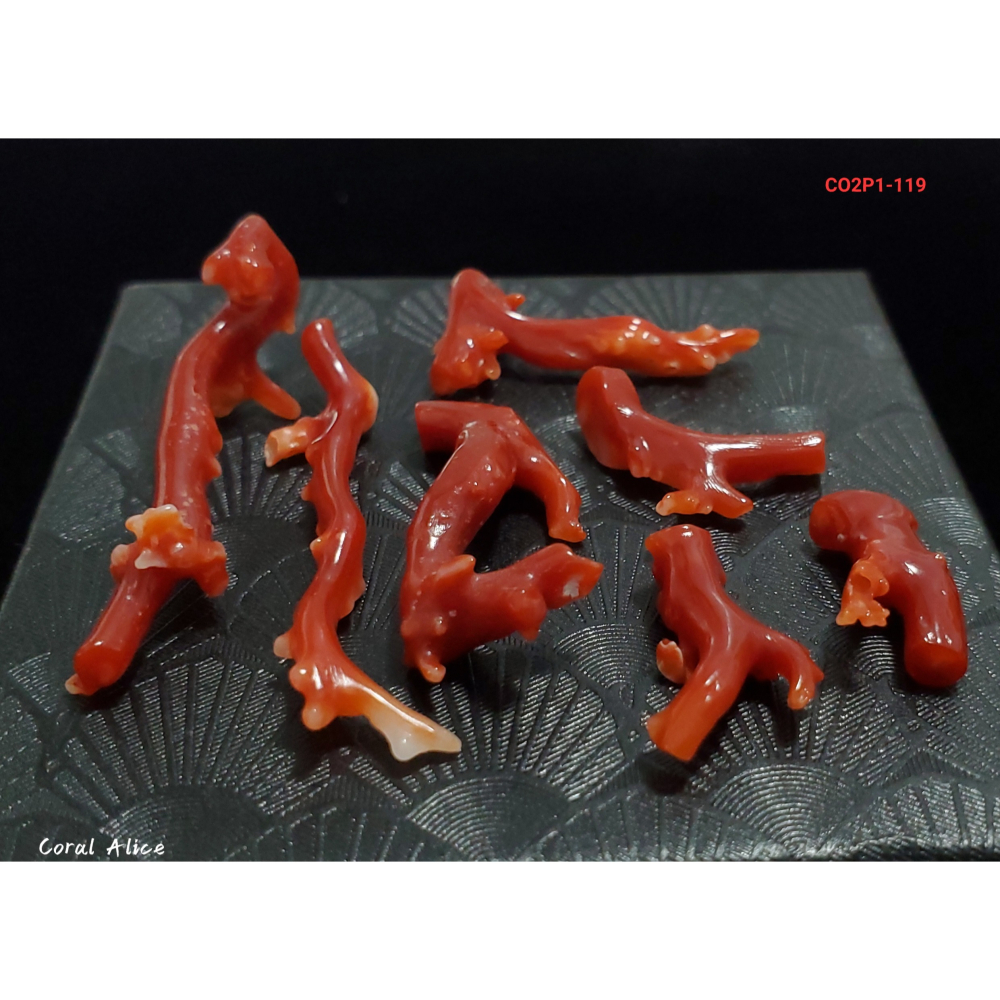 🌟Coral珊寶手作-天然阿卡珊瑚/紅珊瑚/赤血珊瑚自然枝(無孔) CO2P1-119-細節圖2