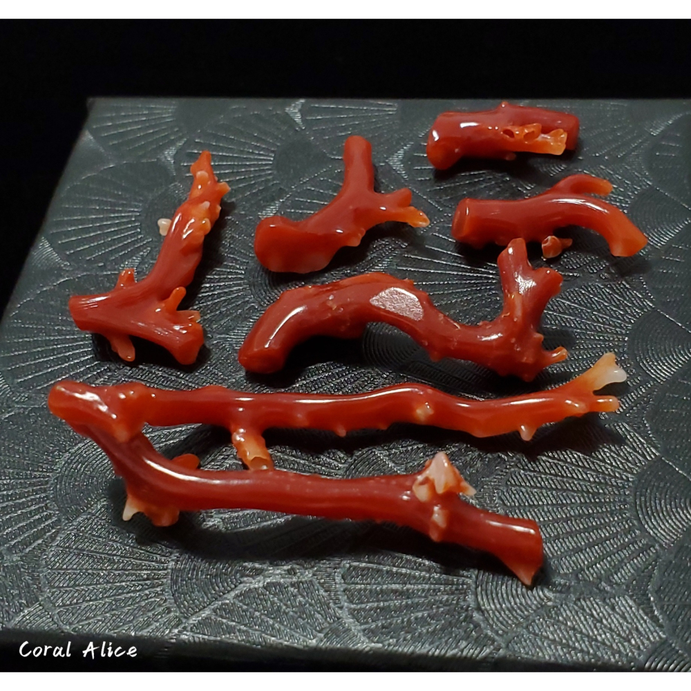 🌟Coral珊寶手作-天然阿卡珊瑚/紅珊瑚/赤血珊瑚自然枝(無孔) CO2P1-119-細節圖3