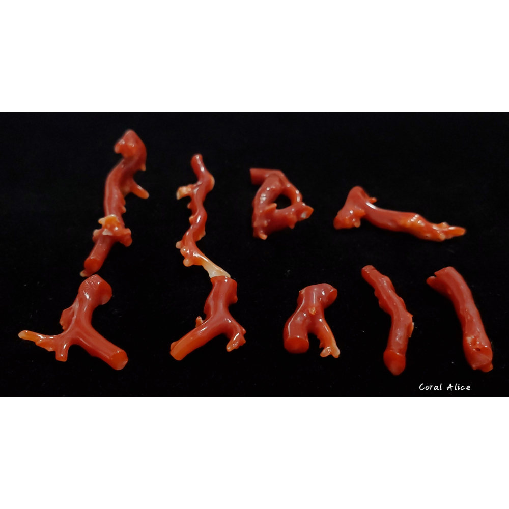 🌟Coral珊寶手作-天然阿卡珊瑚/紅珊瑚/赤血珊瑚自然枝(無孔) CO2P1-119-細節圖5