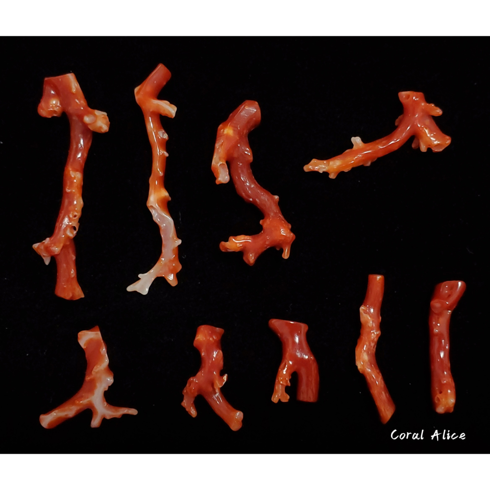 🌟Coral珊寶手作-天然阿卡珊瑚/紅珊瑚/赤血珊瑚自然枝(無孔) CO2P1-119-細節圖6