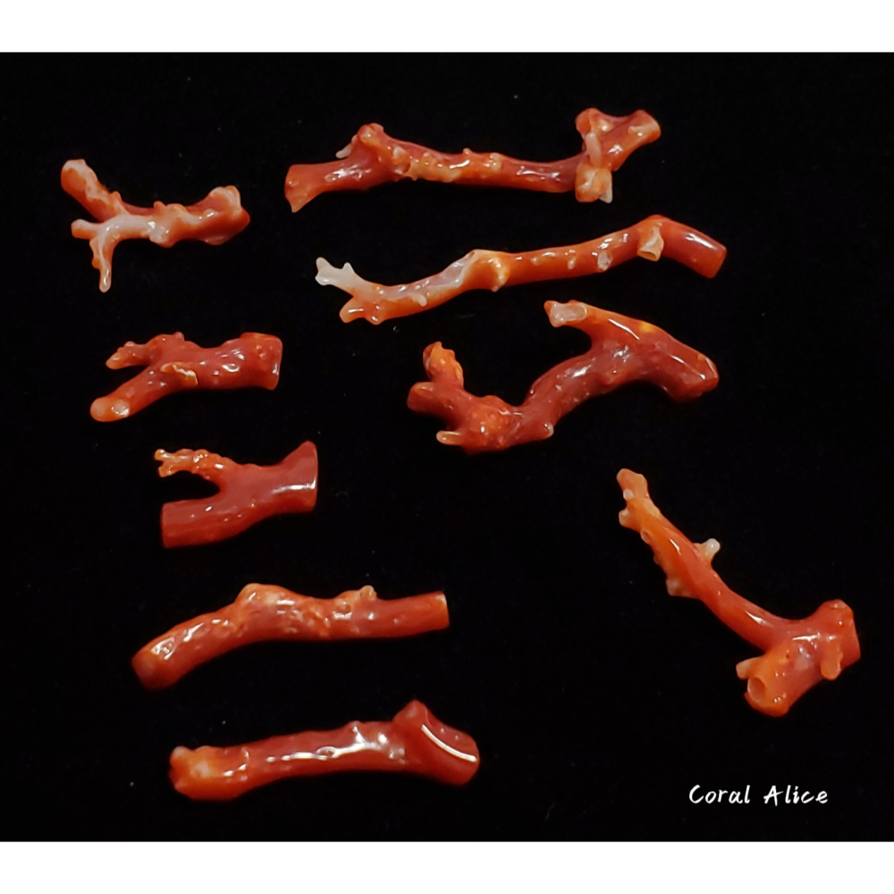 🌟Coral珊寶手作-天然阿卡珊瑚/紅珊瑚/赤血珊瑚自然枝(無孔) CO2P1-119-細節圖7