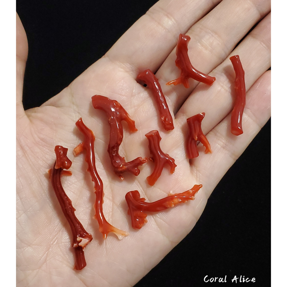 🌟Coral珊寶手作-天然阿卡珊瑚/紅珊瑚/赤血珊瑚自然枝(無孔) CO2P1-119-細節圖8