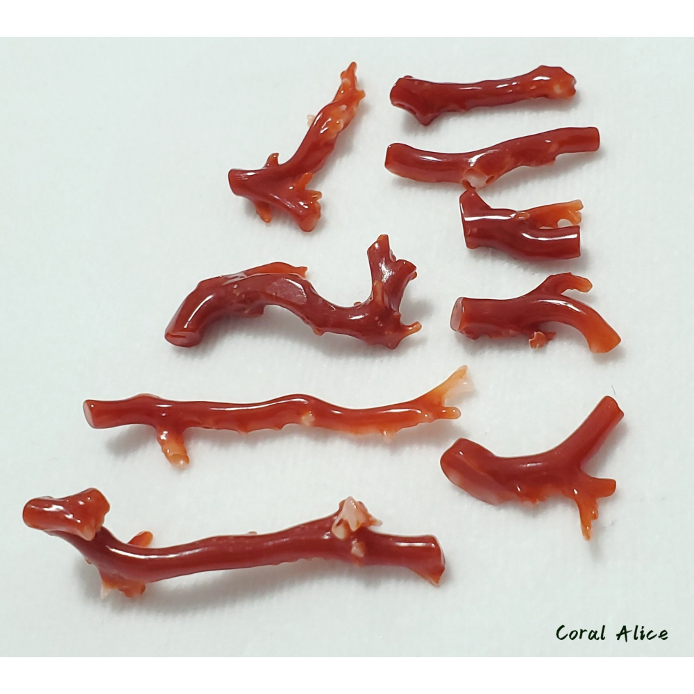 🌟Coral珊寶手作-天然阿卡珊瑚/紅珊瑚/赤血珊瑚自然枝(無孔) CO2P1-119-細節圖9