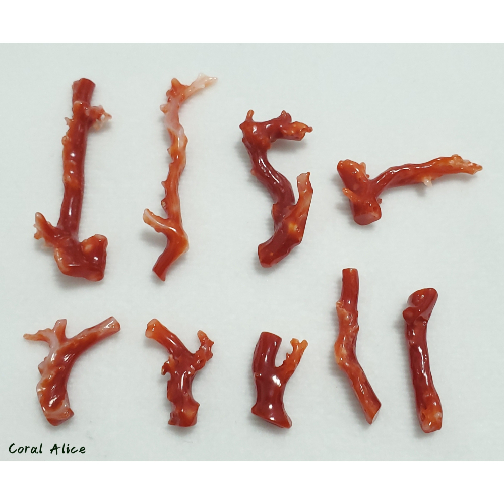 🌟Coral珊寶手作-天然阿卡珊瑚/紅珊瑚/赤血珊瑚自然枝(無孔) CO2P1-119-細節圖10