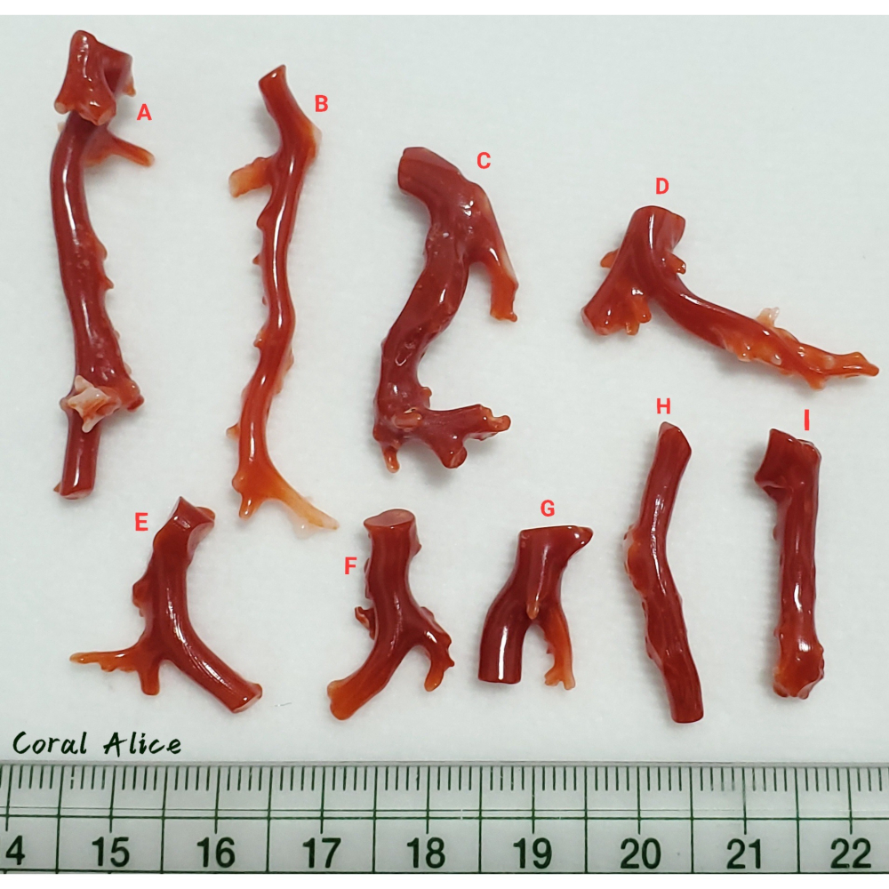 🌟Coral珊寶手作-天然阿卡珊瑚/紅珊瑚/赤血珊瑚自然枝(無孔) CO2P1-119-細節圖11
