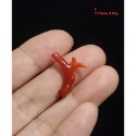 🌟Coral珊寶手作-天然阿卡珊瑚/紅珊瑚/赤血珊瑚自然枝(無孔) CO2P1-119-規格圖11