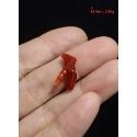 🌟Coral珊寶手作-天然阿卡珊瑚/紅珊瑚/赤血珊瑚自然枝(無孔) CO2P1-119-規格圖11