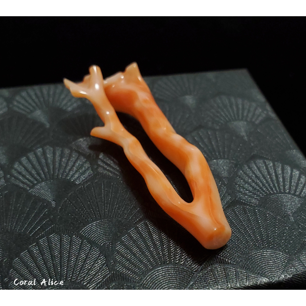 🌟Coral珊寶手作-天然深水珊瑚特殊自然枝 (頂半孔) 55.4mm CO2P1-114-細節圖2