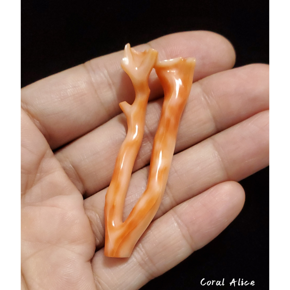🌟Coral珊寶手作-天然深水珊瑚特殊自然枝 (頂半孔) 55.4mm CO2P1-114-細節圖5