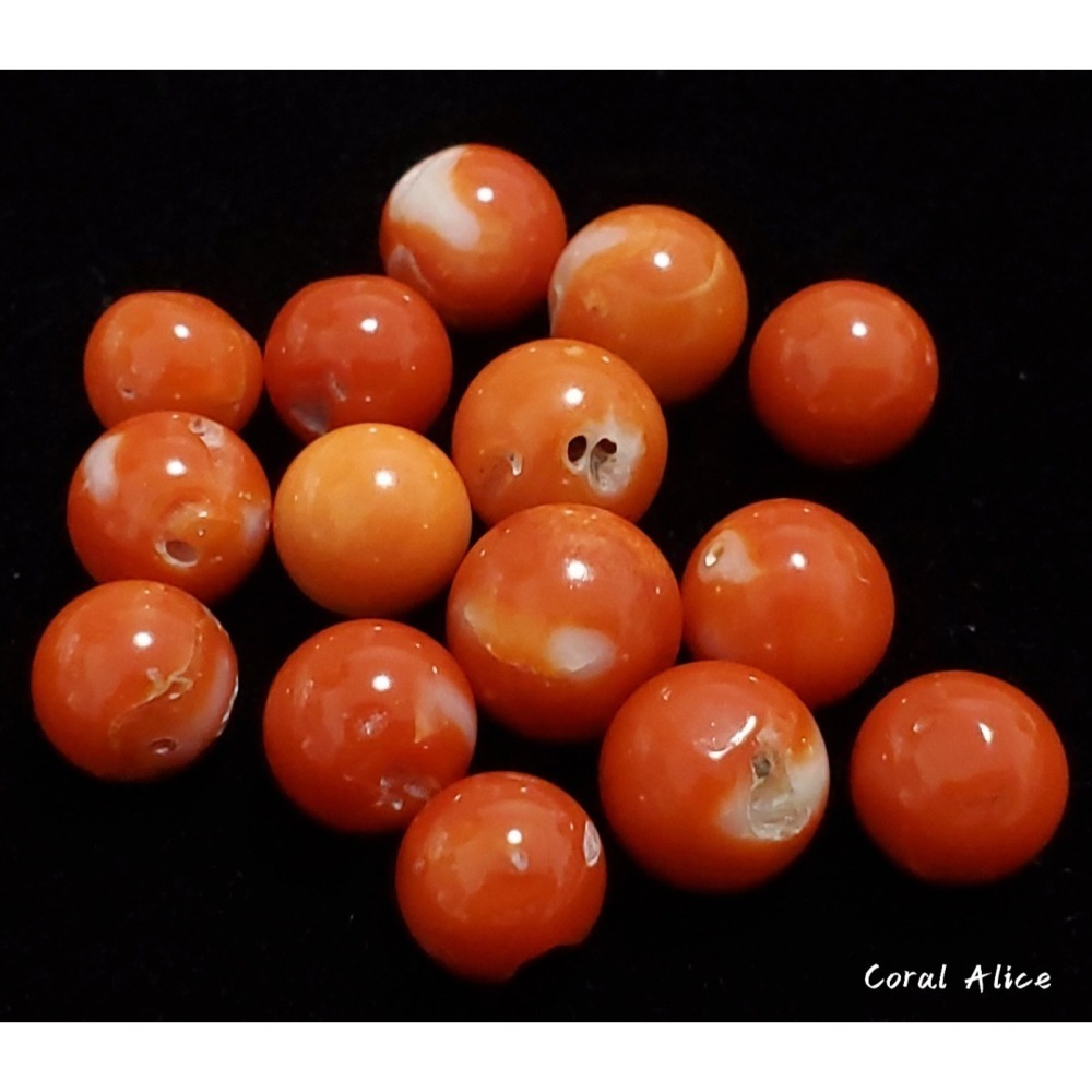 🌟Coral珊寶手作-天然阿卡珊瑚/momo珊瑚圓珠裸石 7.1-9.8mm CO2P1-111-細節圖2