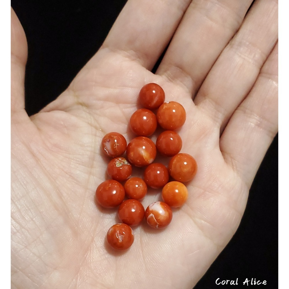 🌟Coral珊寶手作-天然阿卡珊瑚/momo珊瑚圓珠裸石 7.1-9.8mm CO2P1-111-細節圖7
